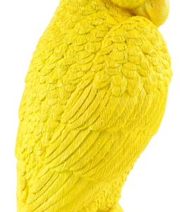 6469 KAKADU TROPICAL ICON